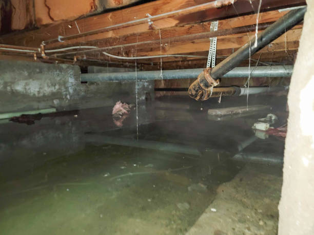 Best 24/7 water damage repair  in Fairview, NY