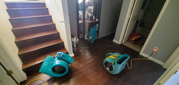 Best Mold removal after water damage  in Fairview, NY