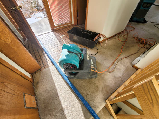 Best Water damage restoration near me  in Fairview, NY