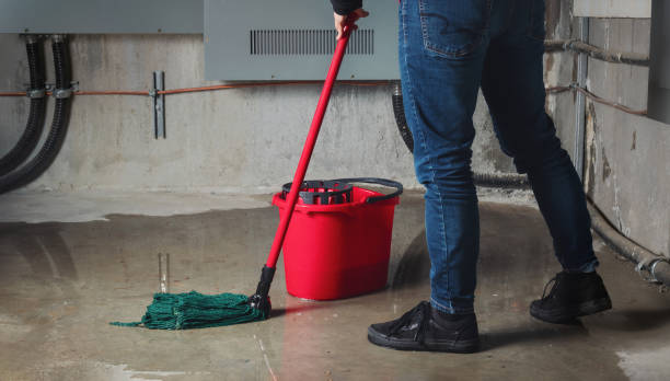 Best Ceiling water damage repair  in Fairview, NY